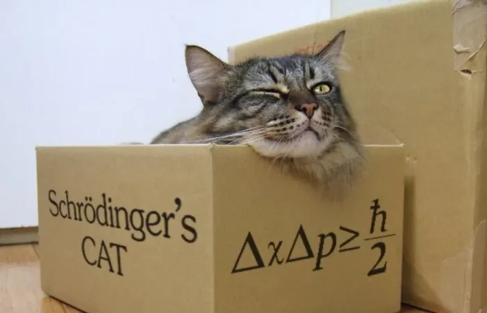 Schrödinger macskája