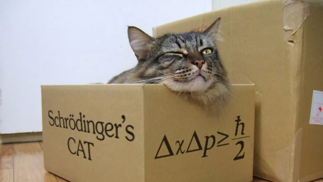 Schrödinger macskája